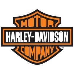 Harley Davidson31