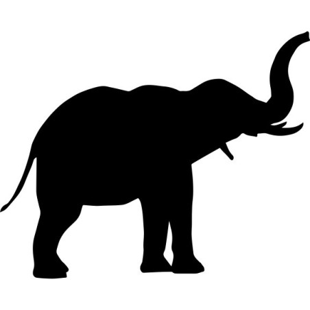 Elefant