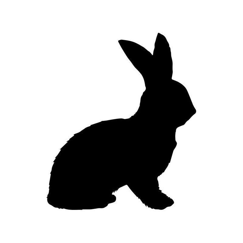 Hase