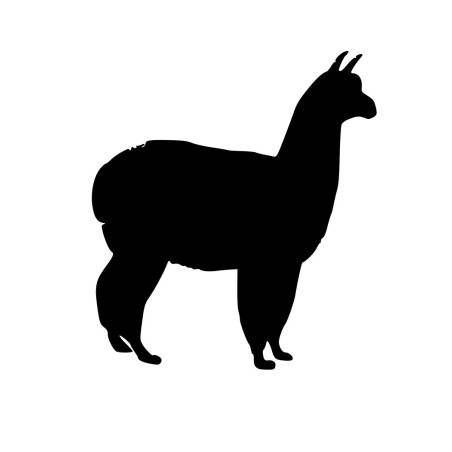 Lama