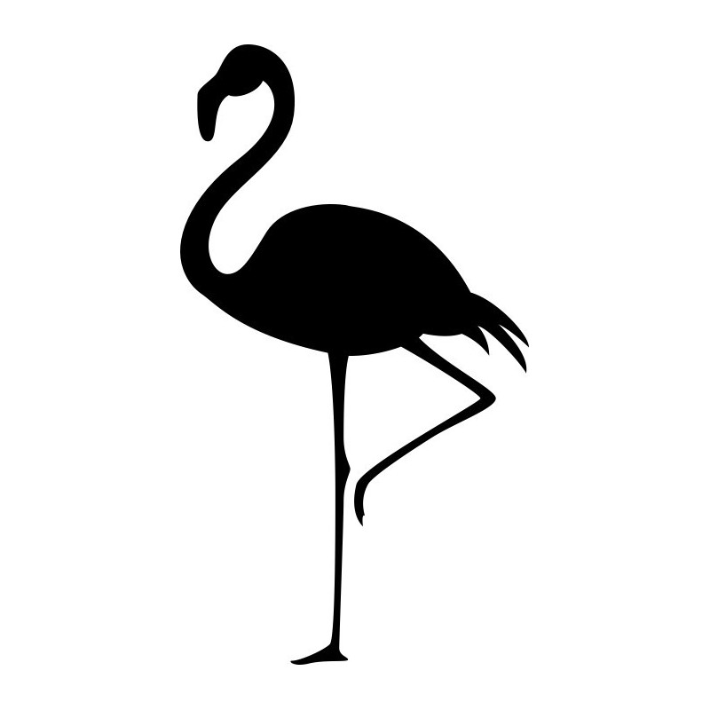 Storch